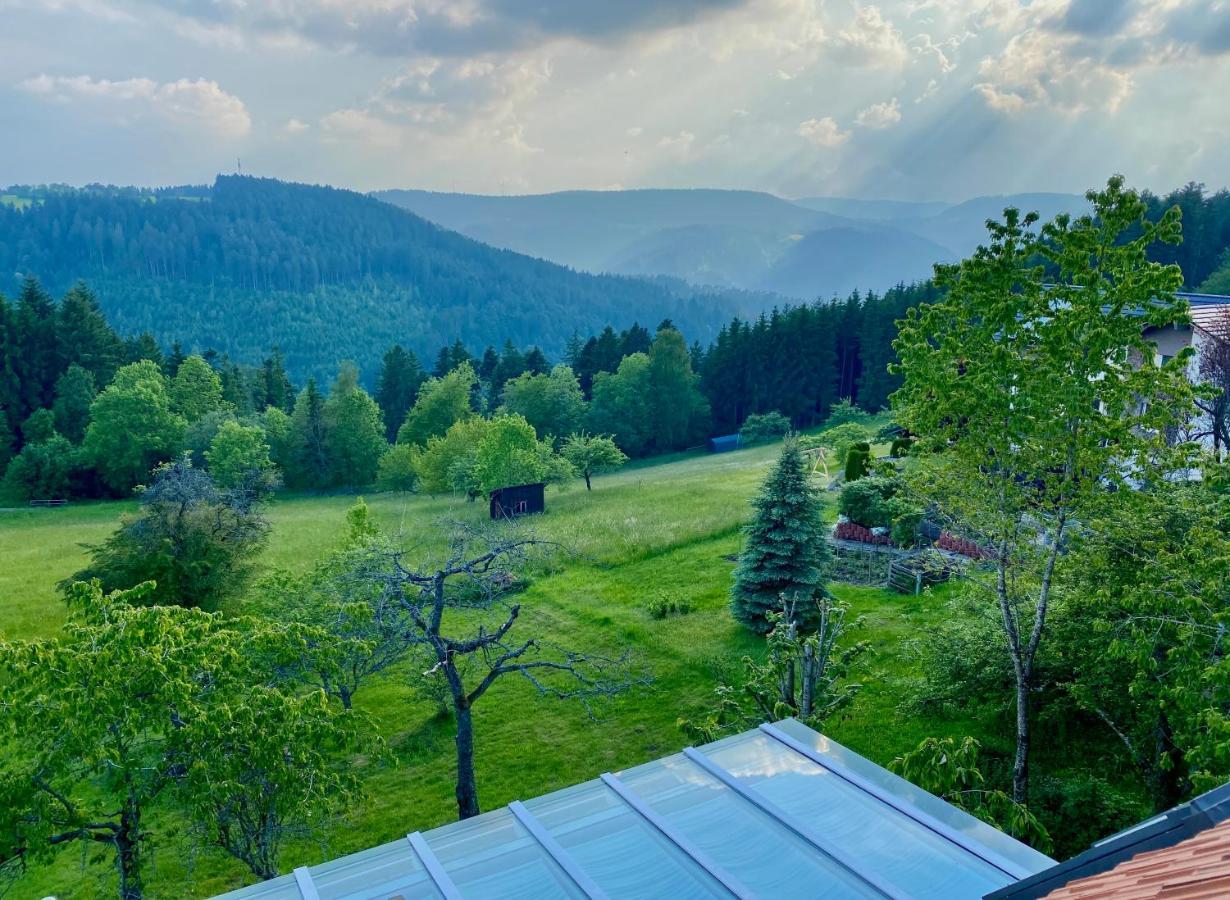 Ferienhaus Mit 5* Luxus Im Schwarzwald Aichhalden Exterior photo